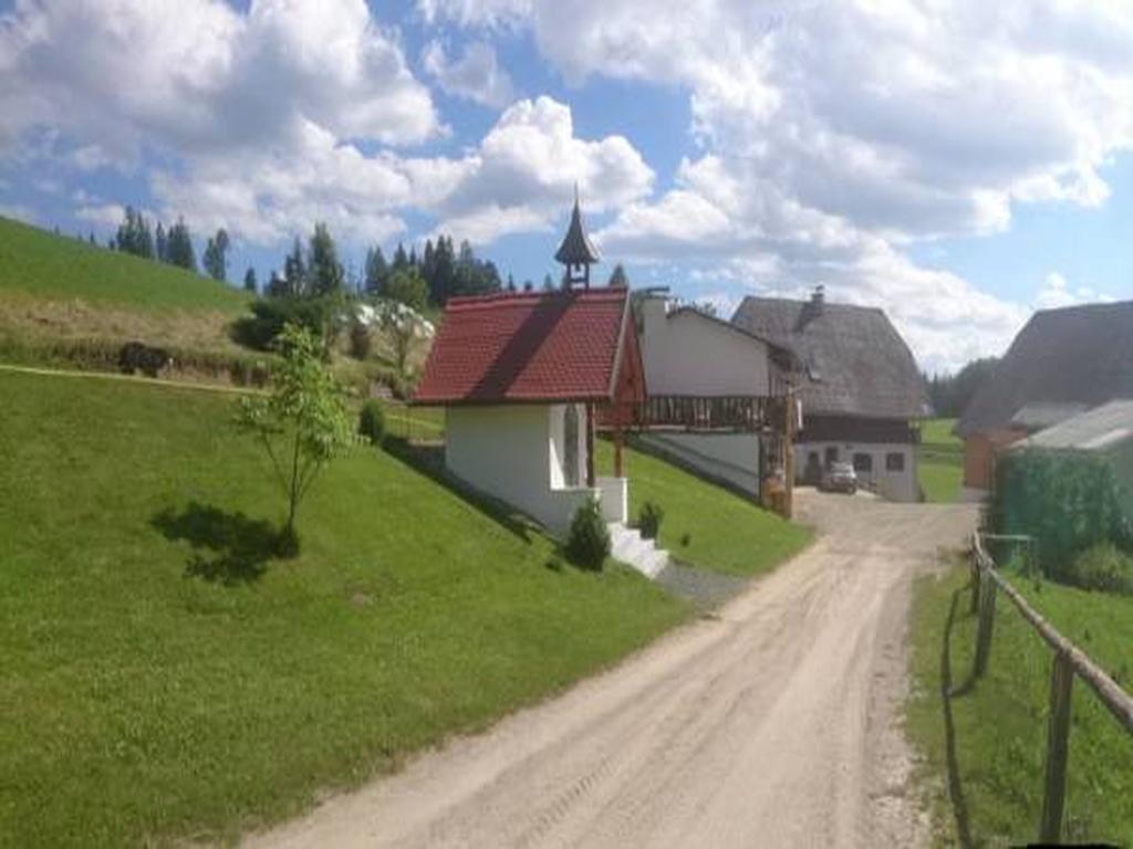 Bio-Peisingerhof Appartement Sankt Stefan ob Leoben Buitenkant foto