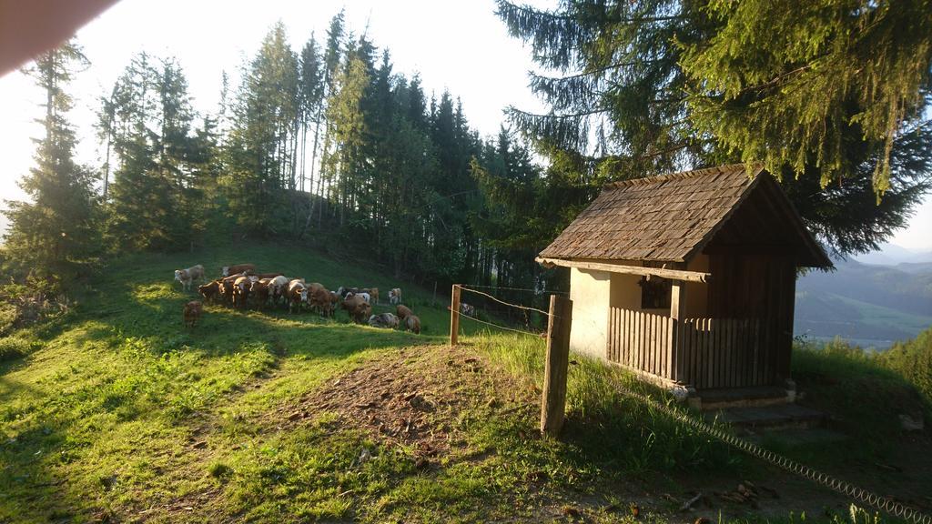Bio-Peisingerhof Appartement Sankt Stefan ob Leoben Buitenkant foto